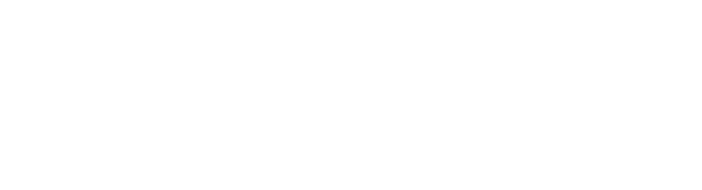 John Burr Voice Dynamics - Footer Logo